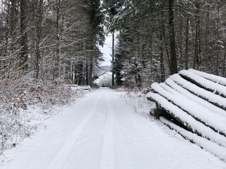 Waldspazierweg direkt am Haus