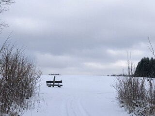 Winterimpressionen