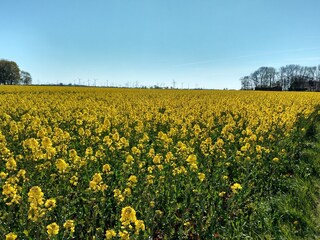 Ferienhaus Neßmersiel Umgebung 29