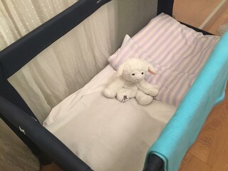 Appartamento per vacanze Bad Mitterndorf Caratteristiche 55