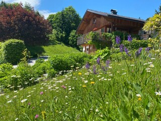 Appartamento Bad Mitterndorf Registrazione all'aperto 7
