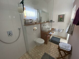 Appartement Bad Mitterndorf Équipement 45