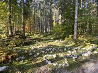 Naturerlebnis Ödensee