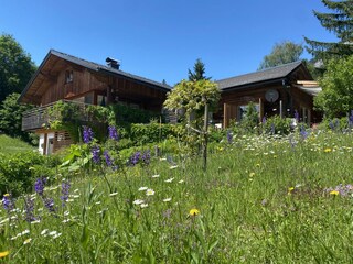 Appartamento Bad Mitterndorf Registrazione all'aperto 41