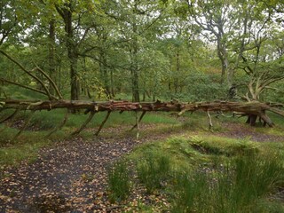 Apartment Fanø Bad  25