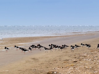 Apartment Fanø Bad  14