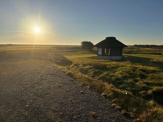 Apartment Havneby  23