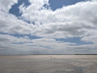 Apartment Havneby  12