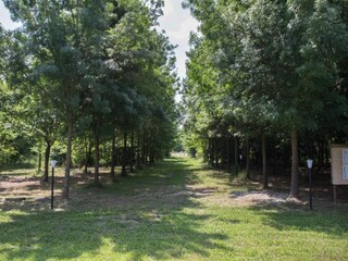 Villa Codevigo Omgeving 29