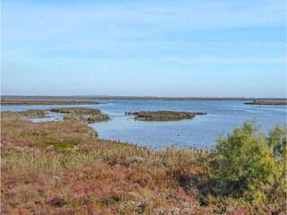 Villa Codevigo Entorno 38