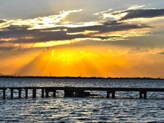 Villa Codevigo Environnement 32