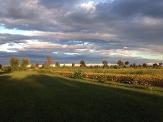 Villa Codevigo Environment 29