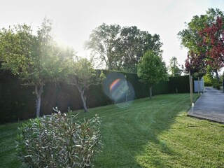 Villa Codevigo Caratteristiche 31