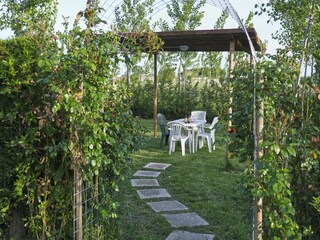 Villa Codevigo Caratteristiche 23