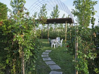 Villa Codevigo Caratteristiche 21