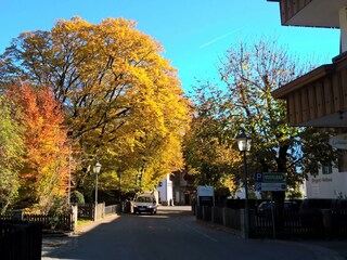 30 Malvasia Apart_Stumm_Zillertal_Stumm Dorfstrass