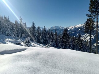 19 Malvasia Apart_Stumm_Zillertal_Stummerberg