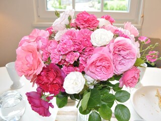 21 Malvasia Apart_Stumm_Zillertal_Rosen aus dem Ga