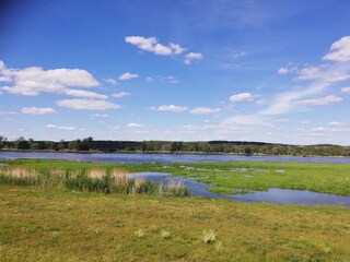 Oderwiese