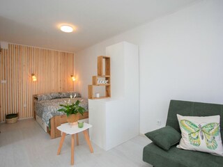 Villa Labin Caratteristiche 26