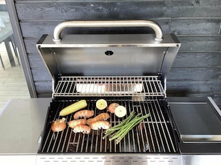 Ferienhaus Handbjerg Außenaufnahme 6