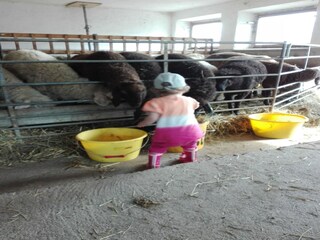 Vakantiehuis Uderns Buitenaudio-opname 14