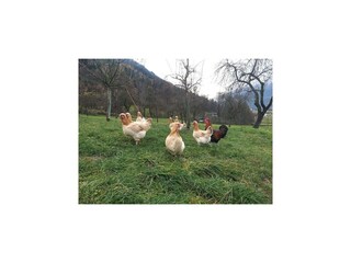 Casa de vacaciones Uderns Grabación al aire libre 8