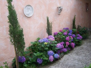 Holiday house Bad Dürkheim Outdoor Recording 4