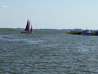 Zeese vor der Insel Kirr