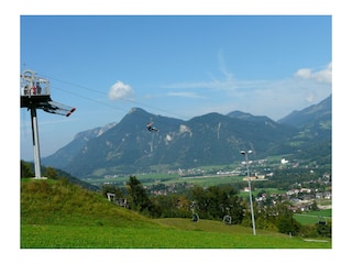 Flying Fox