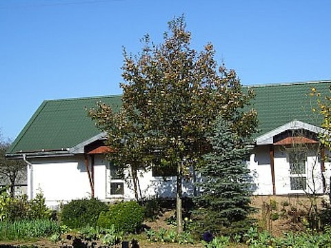 Ferienwohnung Huppertz