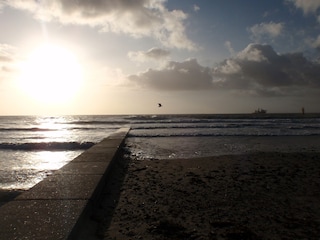 Impressionen / Strand