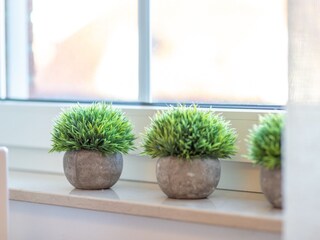 Appartamento per vacanze Greetsiel Caratteristiche 31