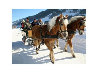 Pension Krug - Pferdeschlitten
