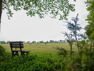 Vakantiehuis Lemele Buitenaudio-opname 5