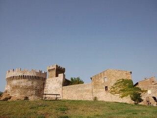 Appartamento per vacanze San Vincenzo Ambiente 15