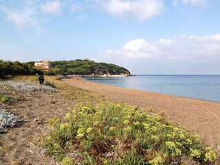 Appartamento per vacanze San Vincenzo Ambiente 20
