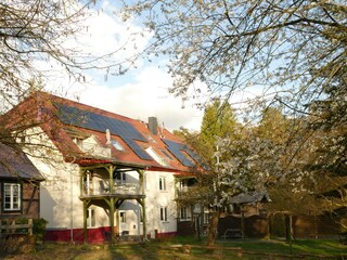 Mühlenansicht vom Garten aus