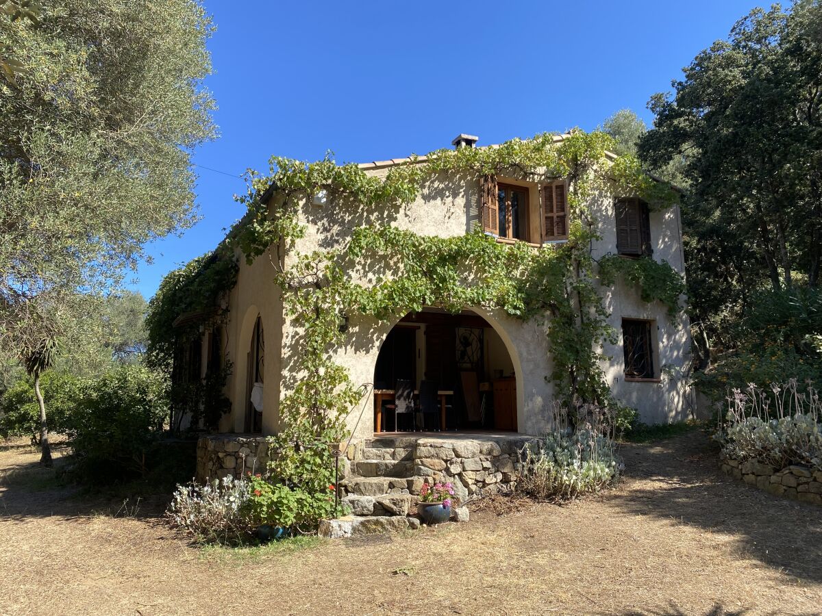 Villa Mûrier (Sommer)