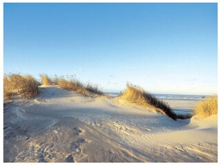 Ferienwohnung Juist Umgebung 42