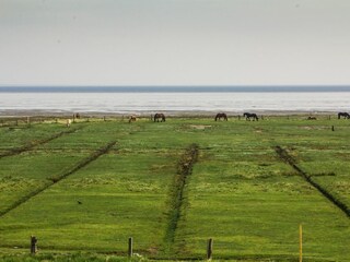Landschaft