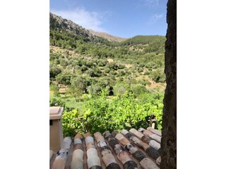 Casa de vacaciones S'Arracó Grabación al aire libre 11