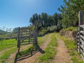 Holiday house S'Arracó Outdoor Recording 2