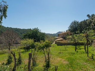 Holiday house S'Arracó  25