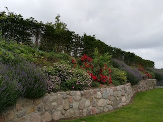 Gartenmauer - Wall