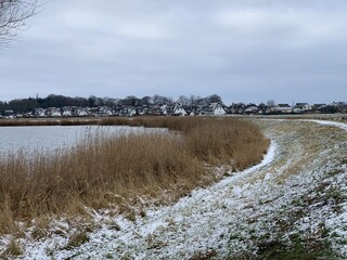 Vakantiehuis Zinnowitz Omgeving 37