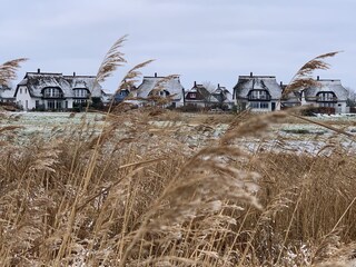 Vakantiehuis Zinnowitz Omgeving 38