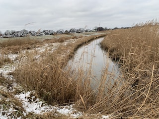 Am Achterwasser 2022