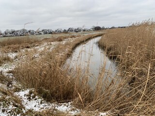 Casa de vacaciones Zinnowitz Entorno 39