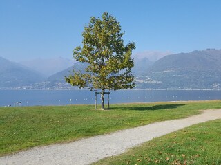 Apartamento de vacaciones Colico Entorno 24